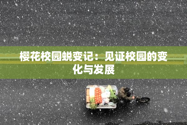 樱花校园蜕变记：见证校园的变化与发展
