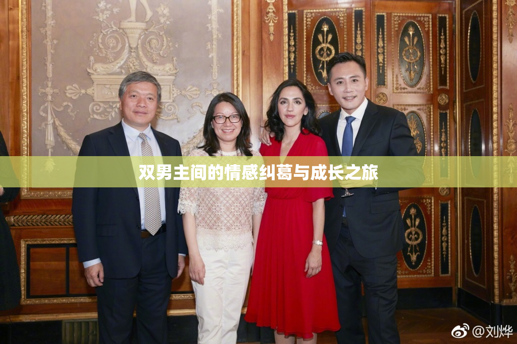 双男主间的情感纠葛与成长之旅
