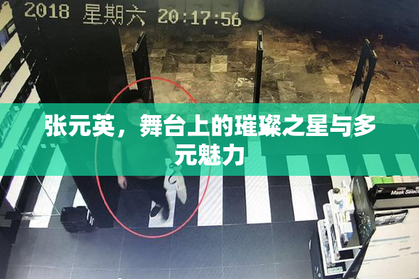 张元英，舞台上的璀璨之星与多元魅力