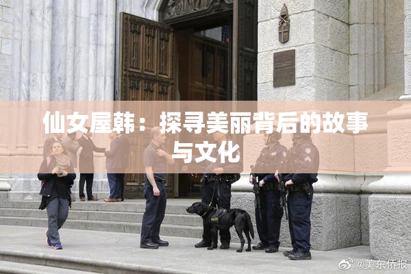 仙女屋韩：探寻美丽背后的故事与文化