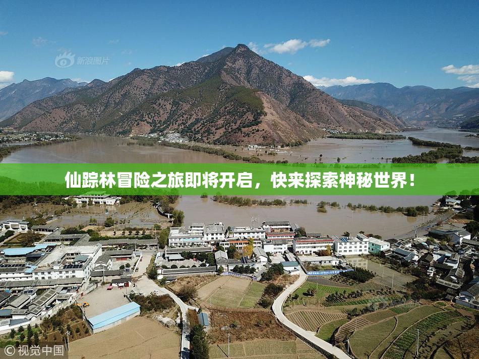 仙踪林冒险之旅即将开启，快来探索神秘世界！