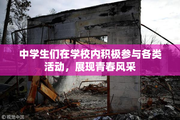 中学生们在学校内积极参与各类活动，展现青春风采