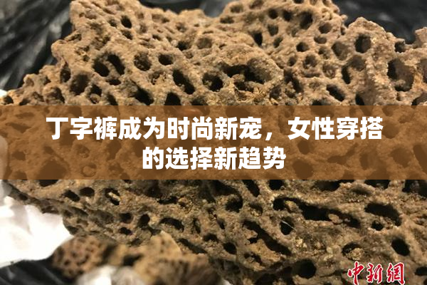 丁字裤成为时尚新宠，女性穿搭的选择新趋势