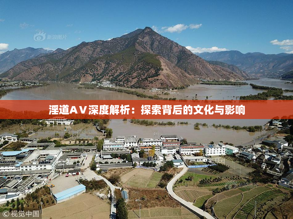 淫道AⅤ深度解析：探索背后的文化与影响