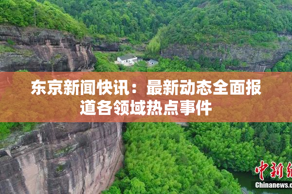 东京新闻快讯：最新动态全面报道各领域热点事件