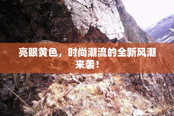 亮眼黄色，时尚潮流的全新风潮来袭！