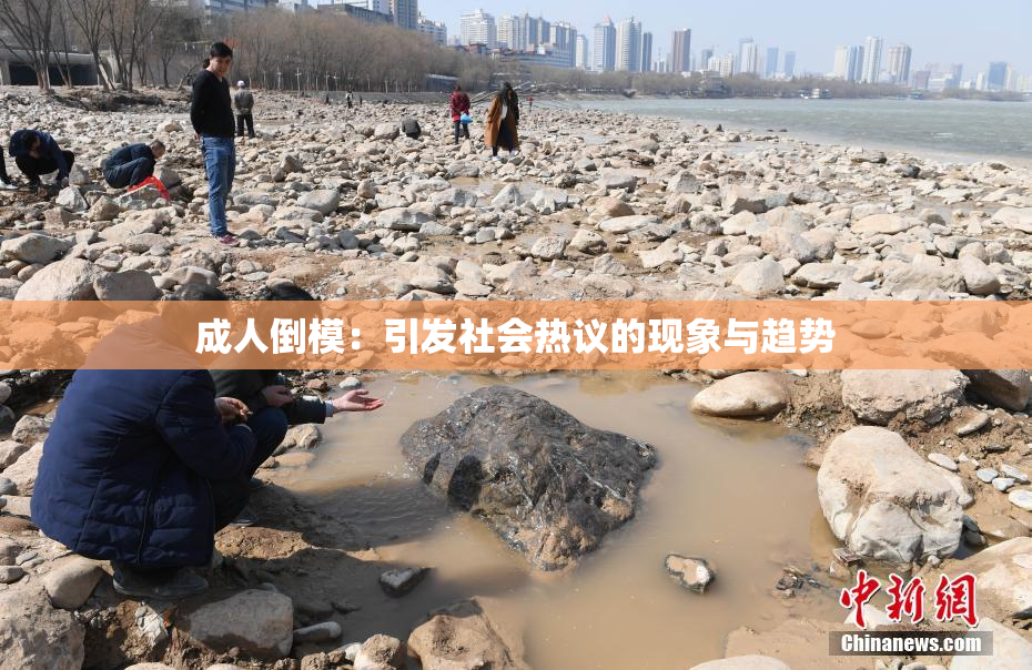 成人倒模：引发社会热议的现象与趋势
