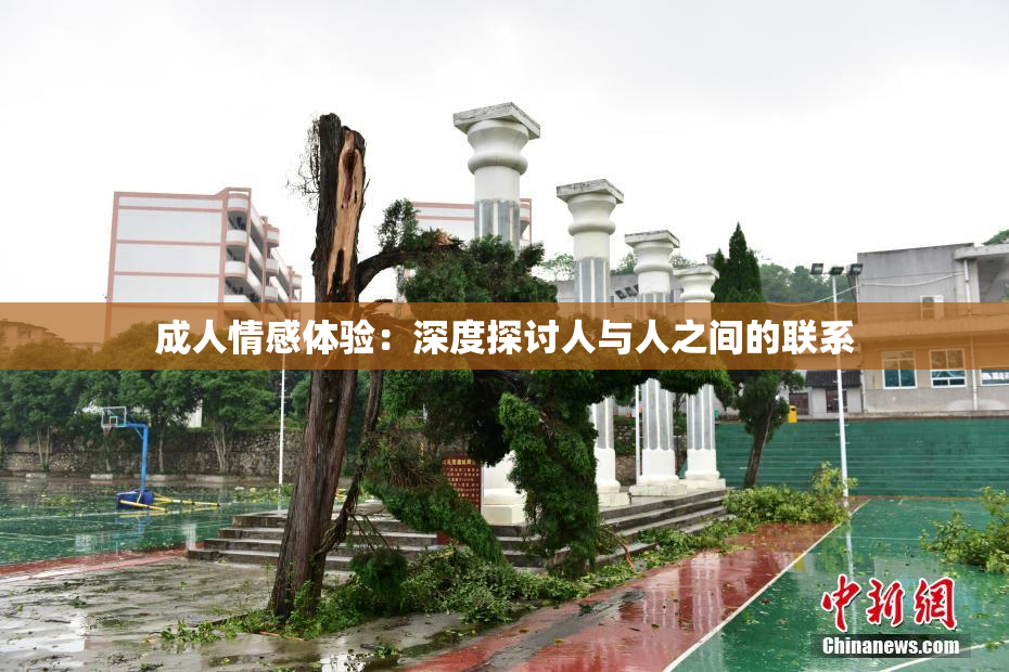 成人情感体验：深度探讨人与人之间的联系