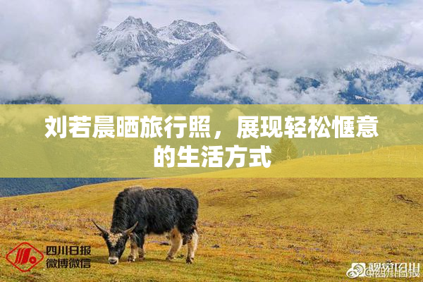刘若晨晒旅行照，展现轻松惬意的生活方式