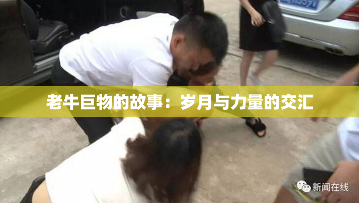 老牛巨物的故事：岁月与力量的交汇