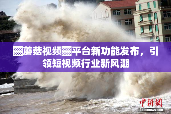 ▓蘑菇视频▓平台新功能发布，引领短视频行业新风潮