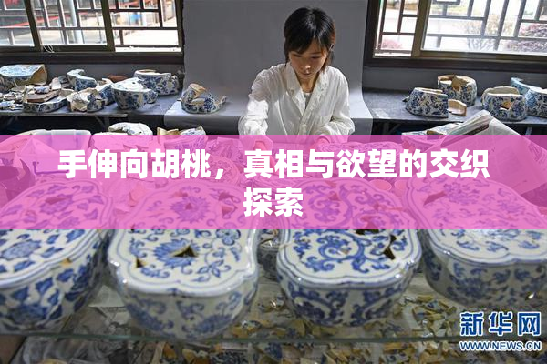 手伸向胡桃，真相与欲望的交织探索