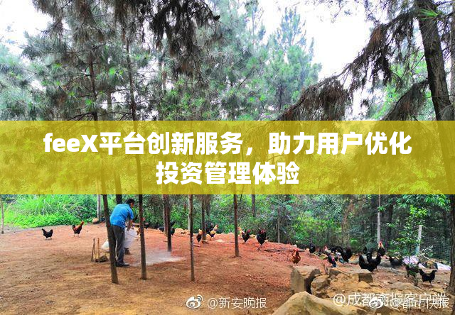 feeX平台创新服务，助力用户优化投资管理体验