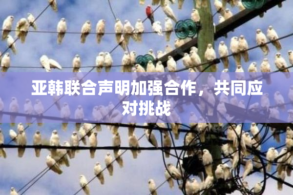 亚韩联合声明加强合作，共同应对挑战