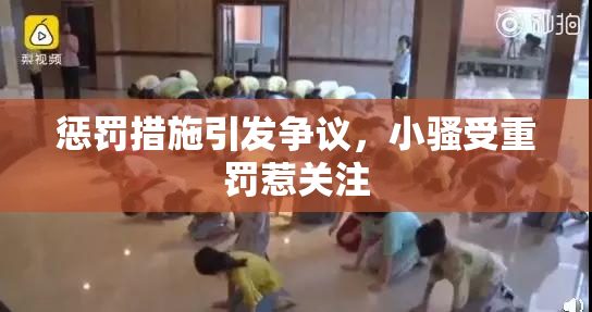 惩罚措施引发争议，小骚受重罚惹关注