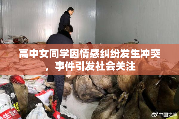 高中女同学因情感纠纷发生冲突，事件引发社会关注