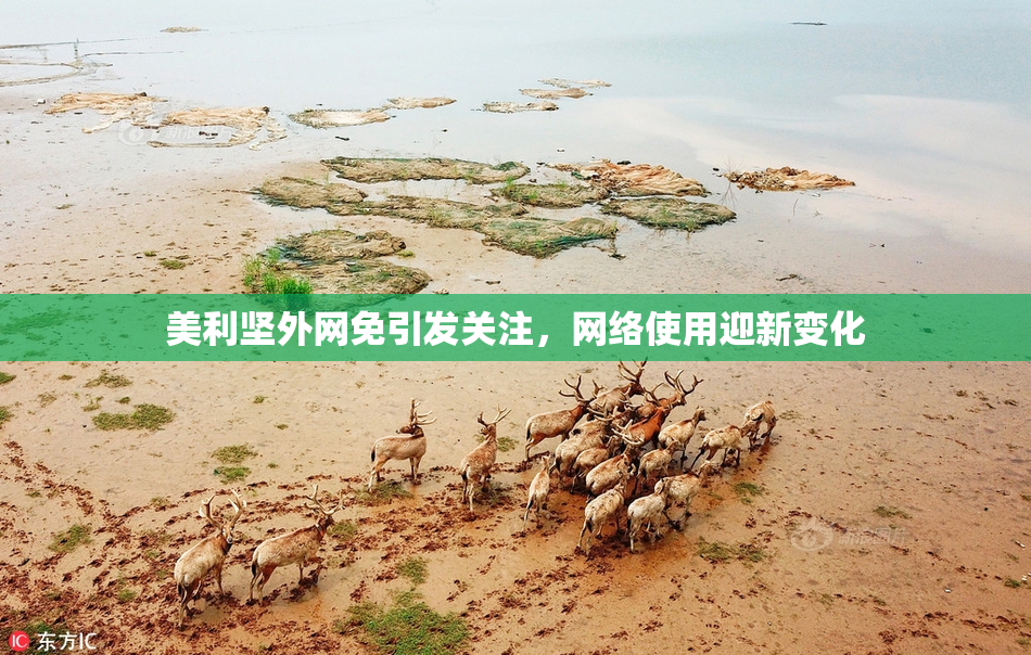 美利坚外网免引发关注，网络使用迎新变化