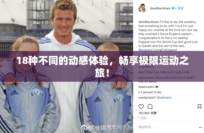 18种不同的动感体验，畅享极限运动之旅！