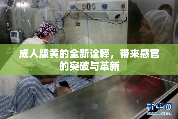 成人版黄的全新诠释，带来感官的突破与革新