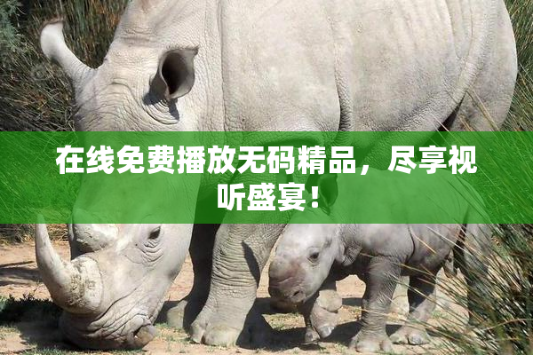 在线免费播放无码精品，尽享视听盛宴！