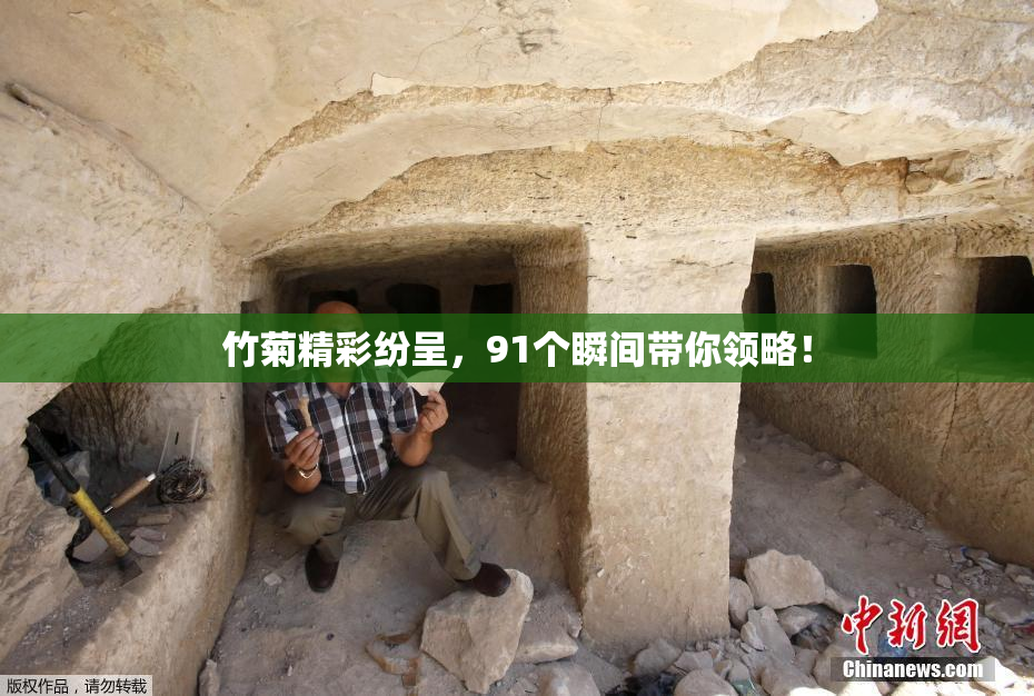竹菊精彩纷呈，91个瞬间带你领略！