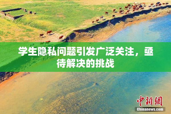 学生隐私问题引发广泛关注，亟待解决的挑战