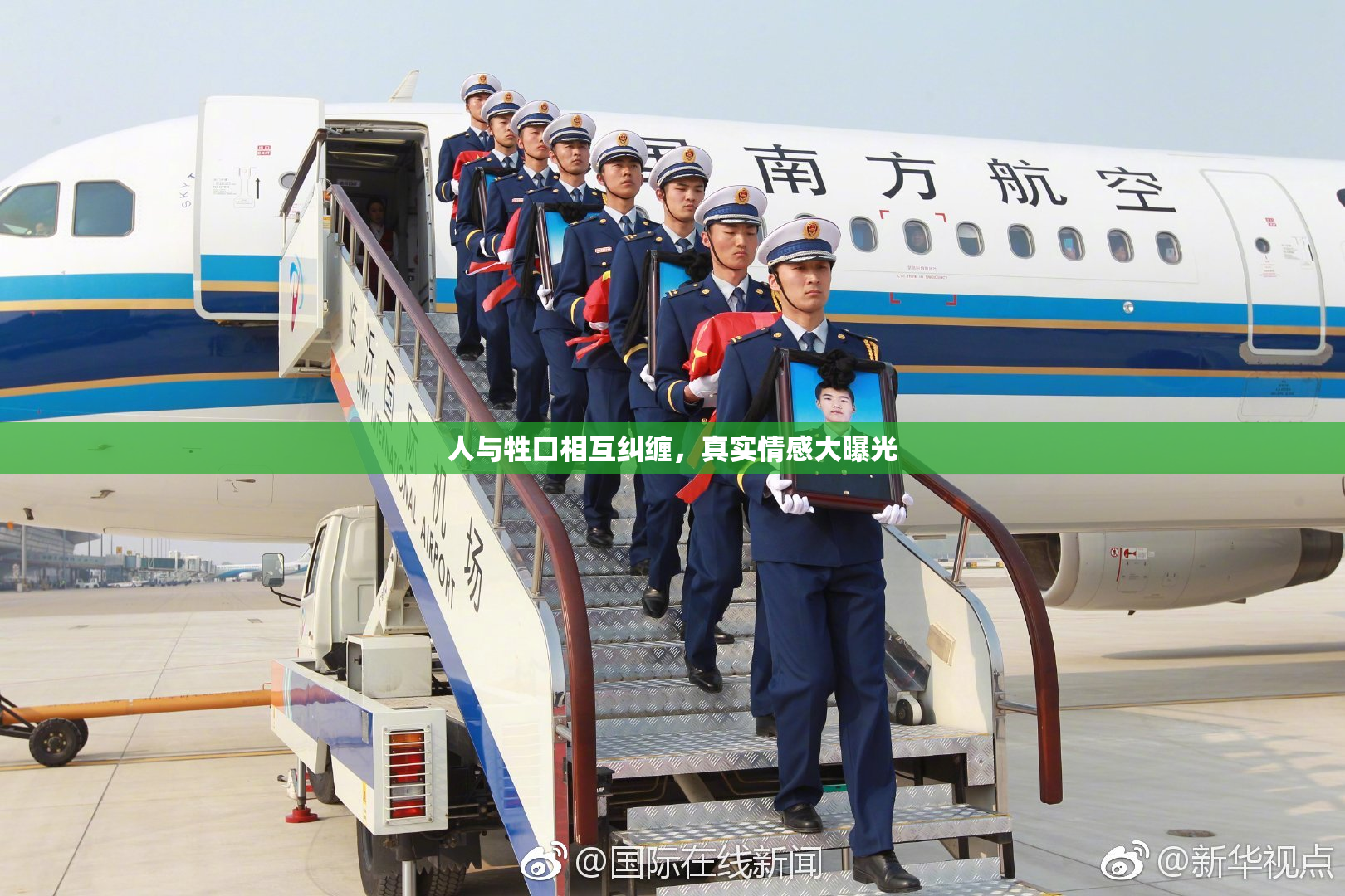 人与牲口相互纠缠，真实情感大曝光