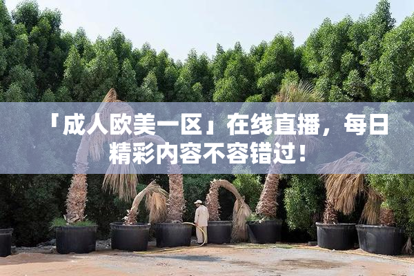 「成人欧美一区」在线直播，每日精彩内容不容错过！