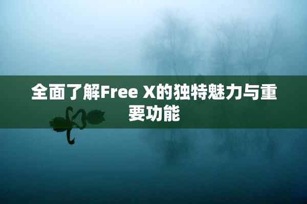 全面了解Free X的独特魅力与重要功能