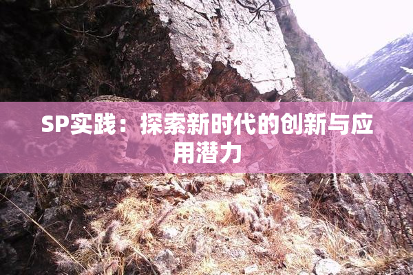 SP实践：探索新时代的创新与应用潜力