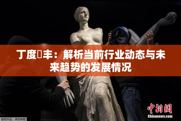 丁度巜丰：解析当前行业动态与未来趋势的发展情况