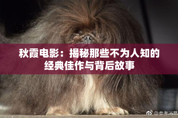 秋霞电影：揭秘那些不为人知的经典佳作与背后故事