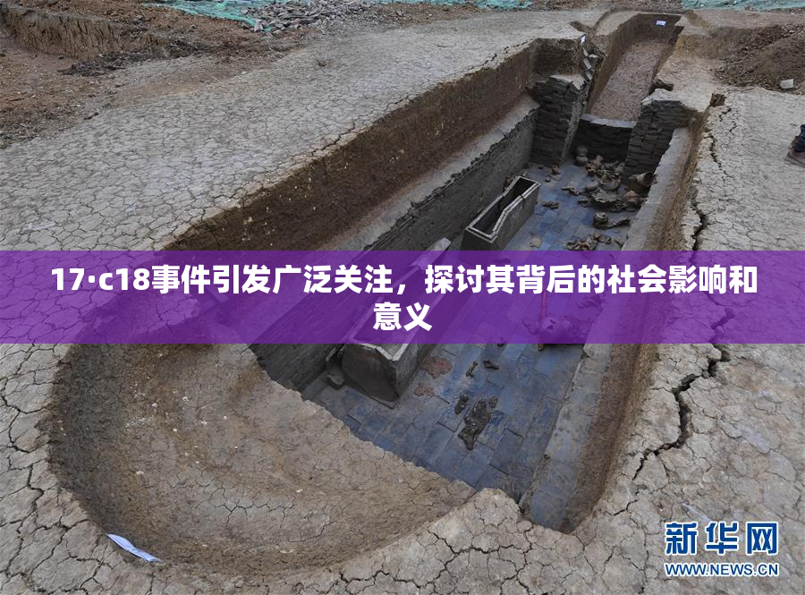 17·c18事件引发广泛关注，探讨其背后的社会影响和意义