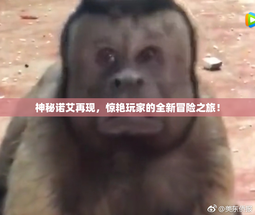 神秘诺艾再现，惊艳玩家的全新冒险之旅！