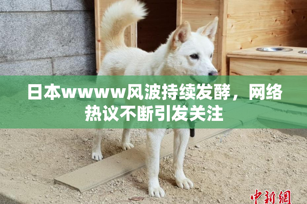 日本wwww风波持续发酵，网络热议不断引发关注