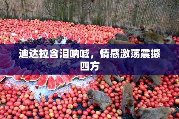 迪达拉含泪呐喊，情感激荡震撼四方
