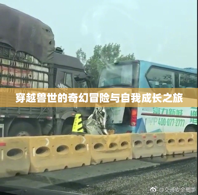 穿越兽世的奇幻冒险与自我成长之旅
