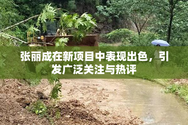 张丽成在新项目中表现出色，引发广泛关注与热评
