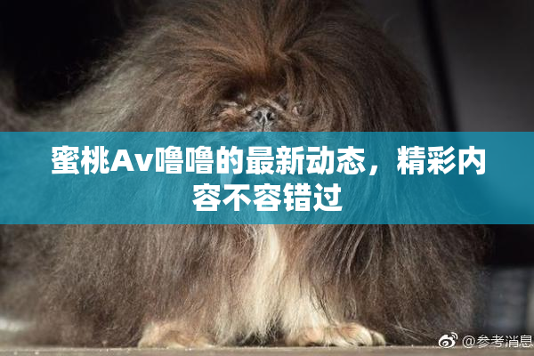 蜜桃Av噜噜的最新动态，精彩内容不容错过