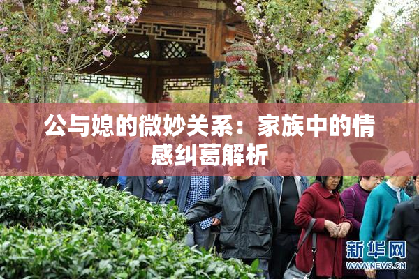 公与媳的微妙关系：家族中的情感纠葛解析