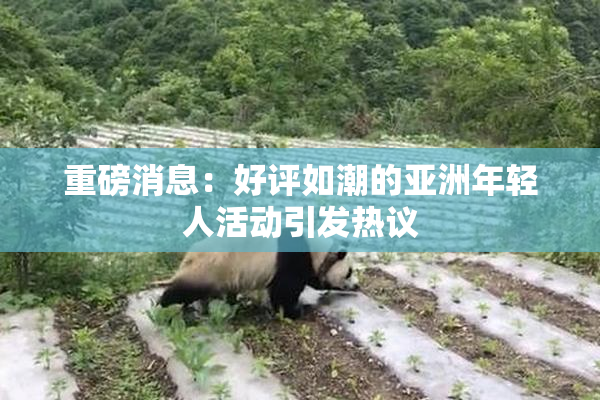 重磅消息：好评如潮的亚洲年轻人活动引发热议