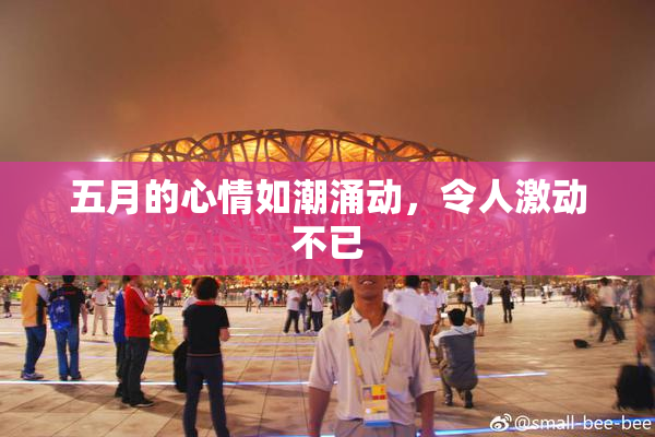 五月的心情如潮涌动，令人激动不已