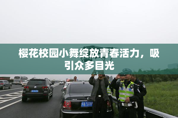 樱花校园小舞绽放青春活力，吸引众多目光