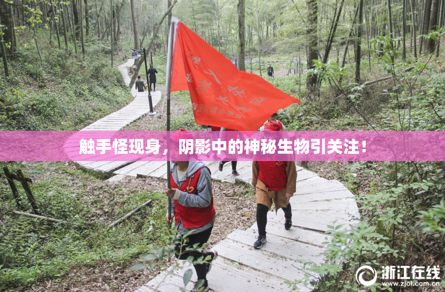 触手怪现身，阴影中的神秘生物引关注！