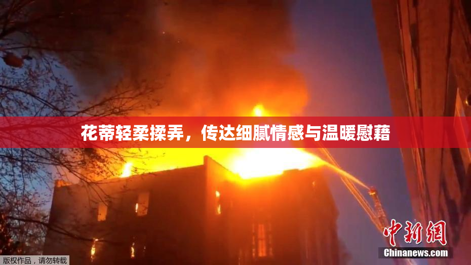 花蒂轻柔揉弄，传达细腻情感与温暖慰藉