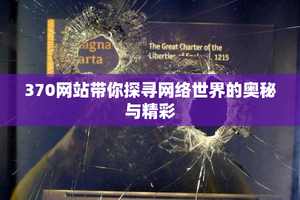 370网站带你探寻网络世界的奥秘与精彩