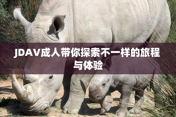 JDAV成人带你探索不一样的旅程与体验