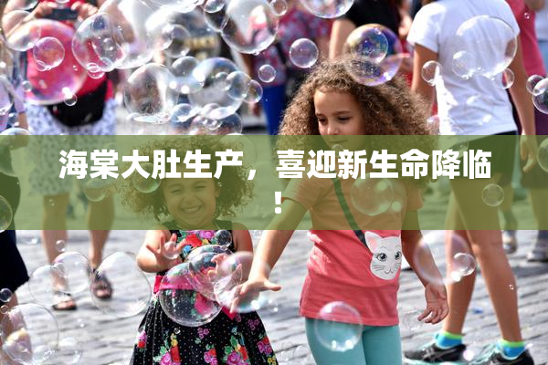 海棠大肚生产，喜迎新生命降临！