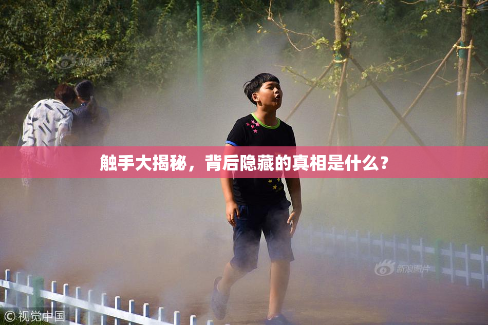触手大揭秘，背后隐藏的真相是什么？
