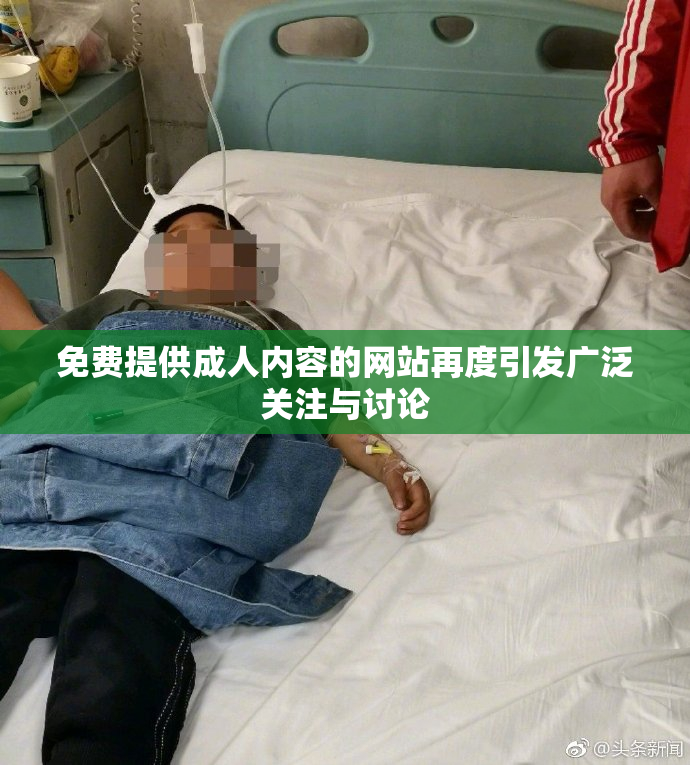 免费提供成人内容的网站再度引发广泛关注与讨论